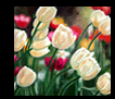 painting classes los angeles