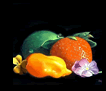 oil painting classes santa monica
